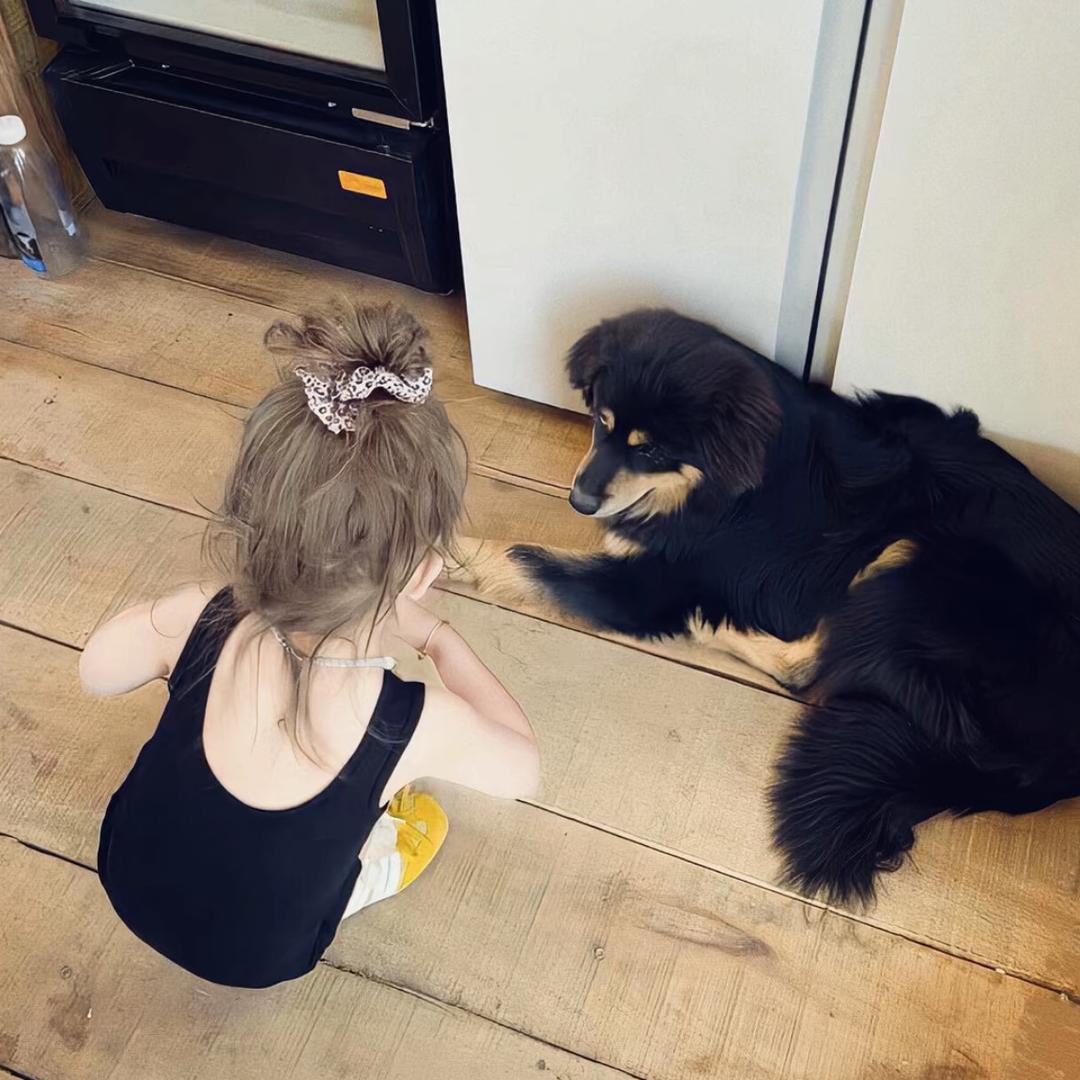 少来烦我烦别人去