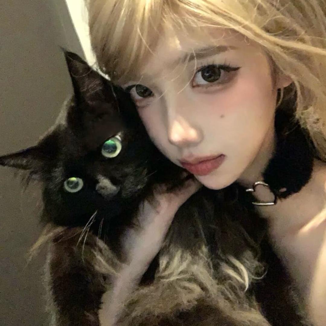 去码头整点薯条