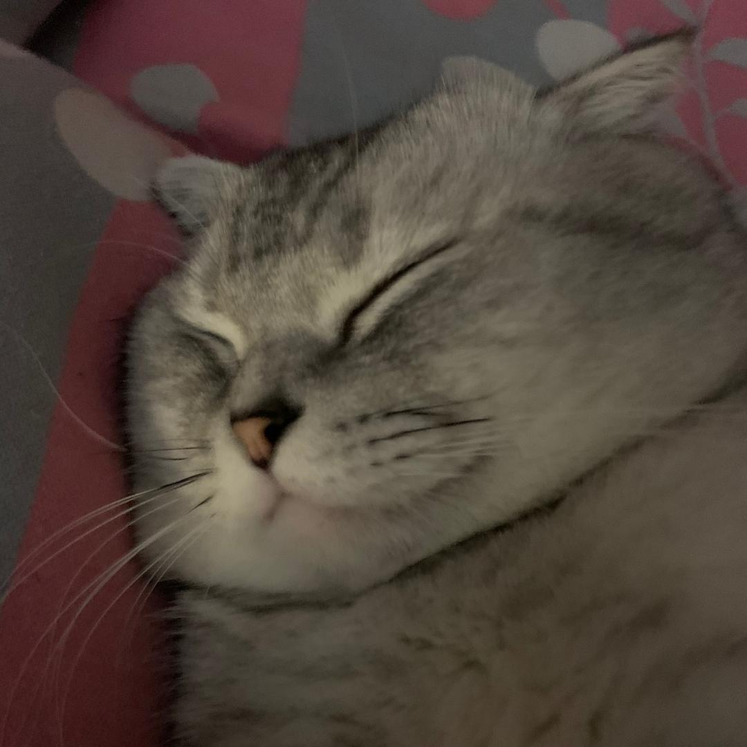 胡哥不姓胡（连赞限流是谣言）