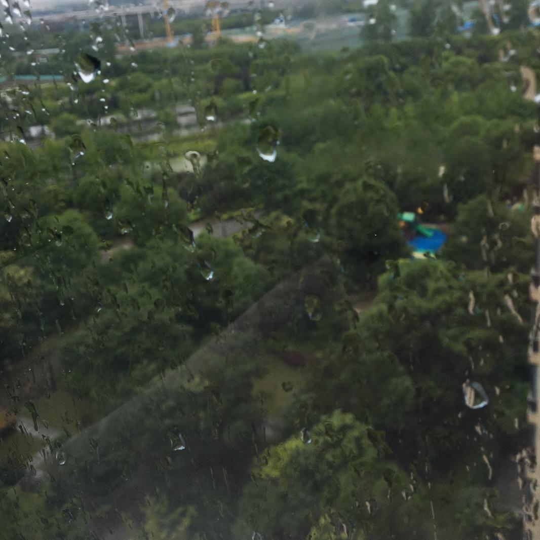 小熊多多