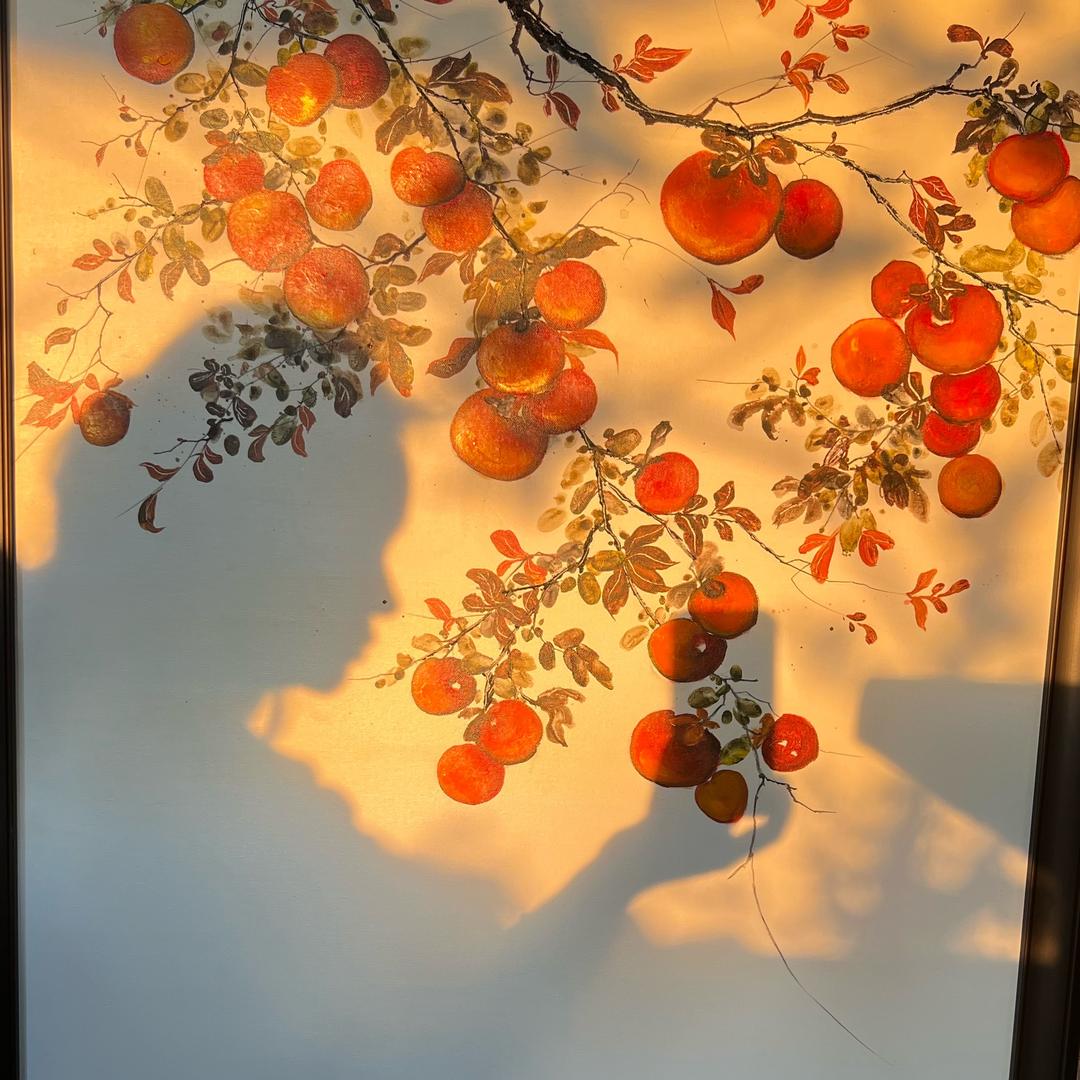 哈拉