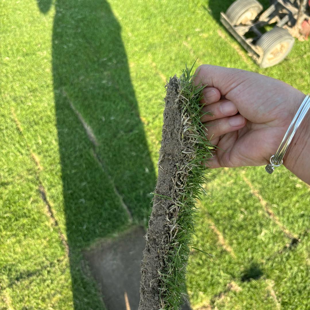 上饶泽言草业有限公司