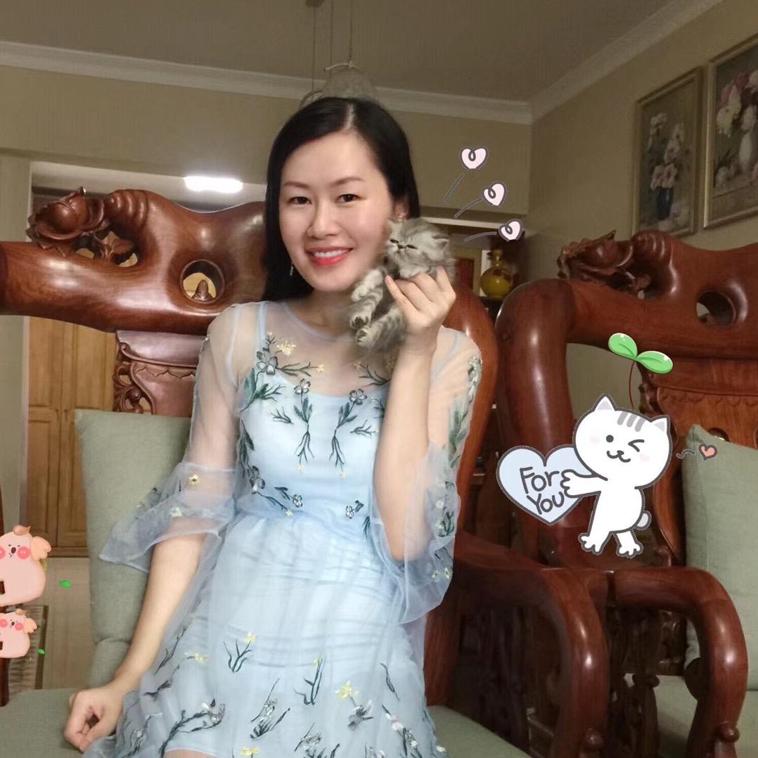 猫猫乖乖