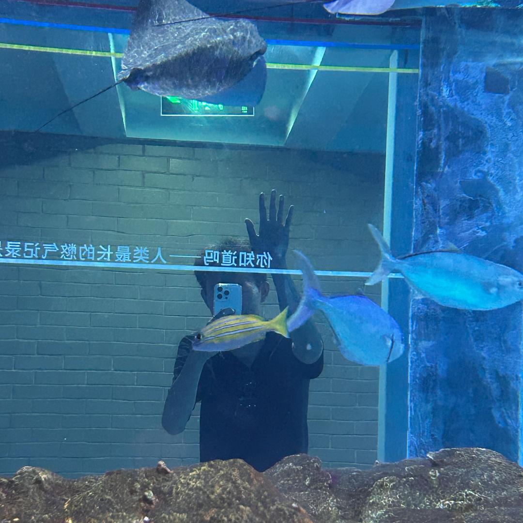 辻弎~