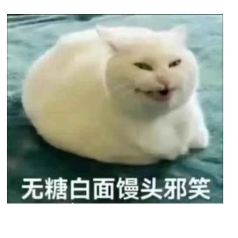 坝把