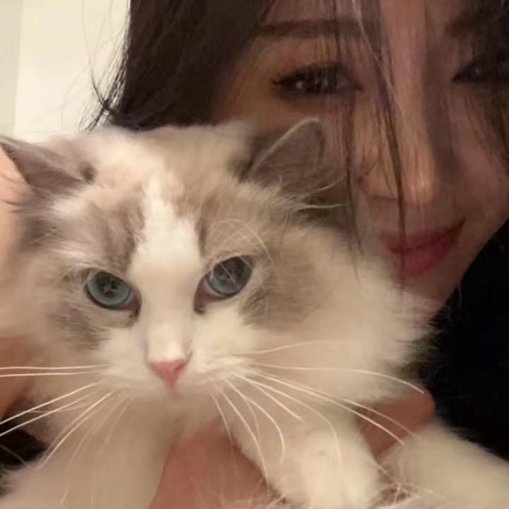 简搭(松原金源购物广场店)简搭66直播号