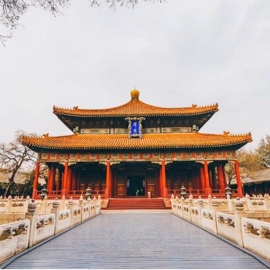 双胞胎猪饲料批发商