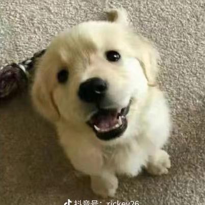 H名字太重复