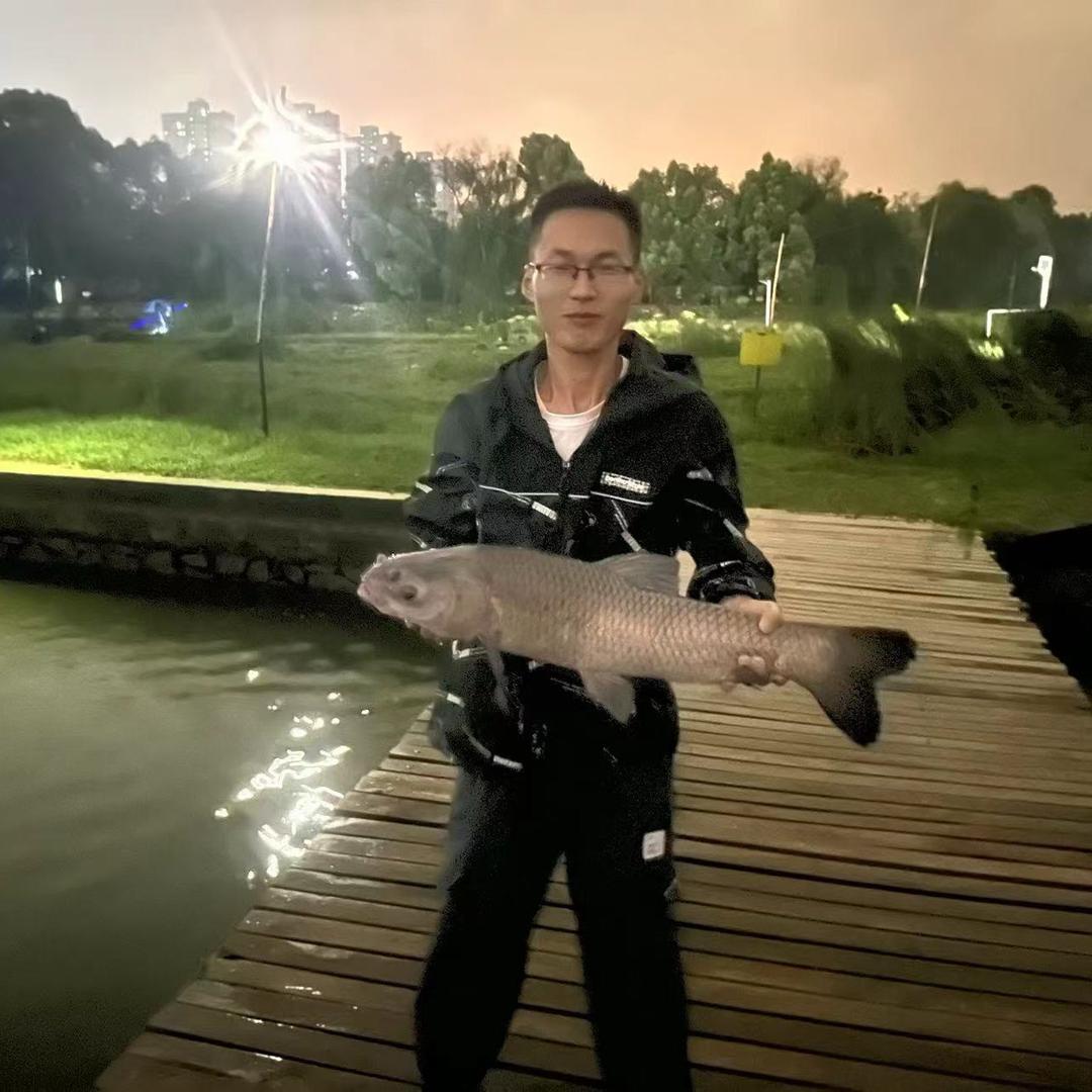 王导