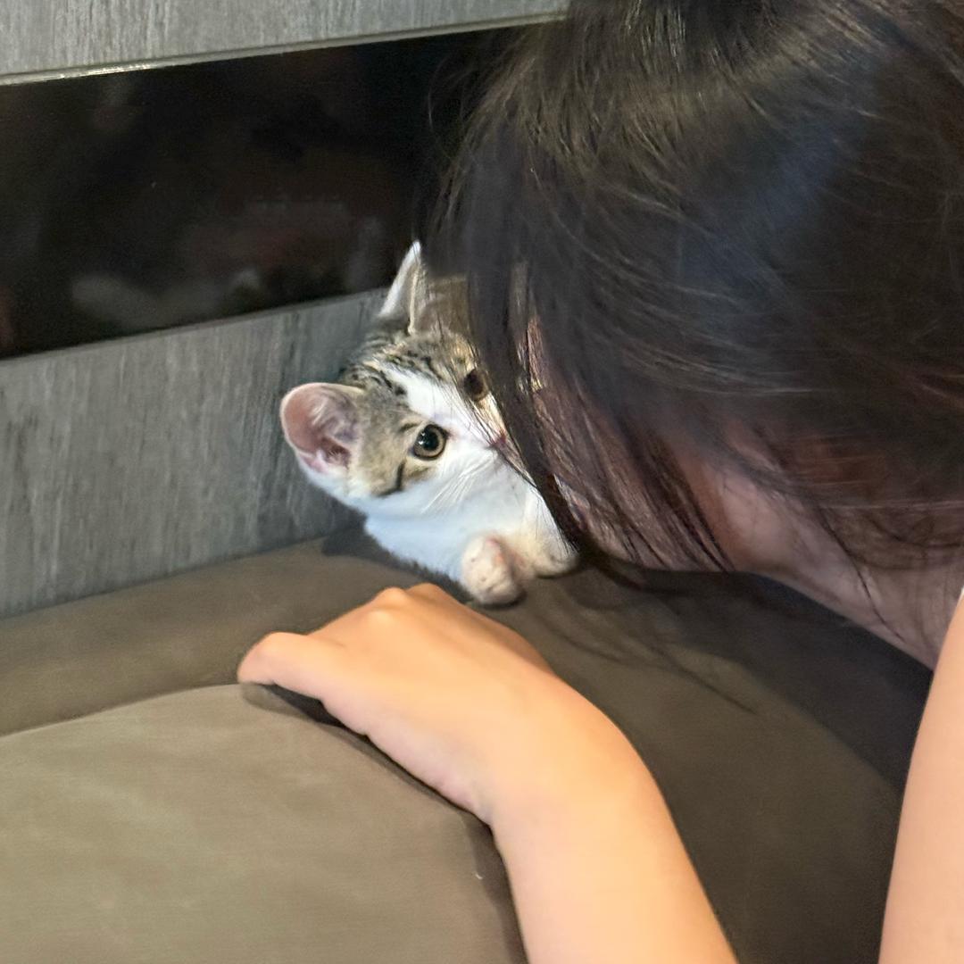 你在放什么狗屁