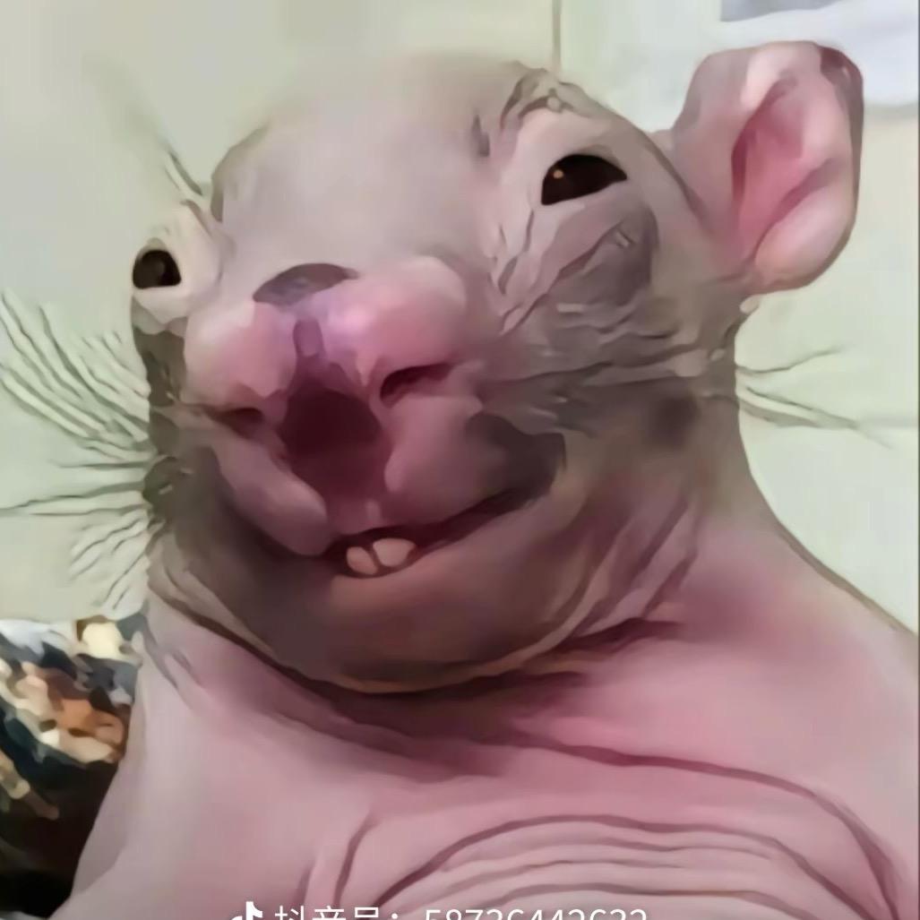 点了拼好饭被偷