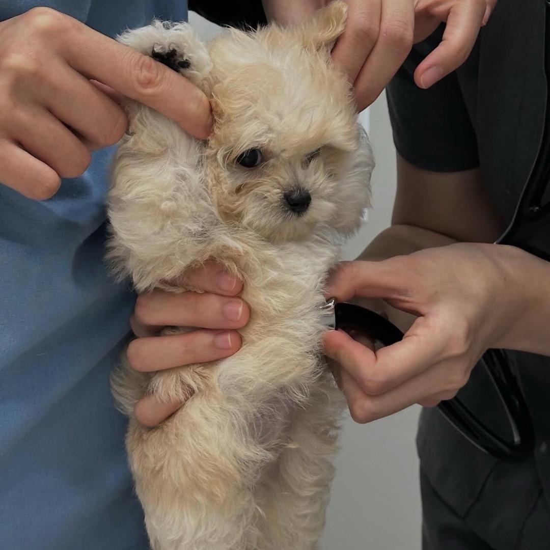 你吃了吗🥨