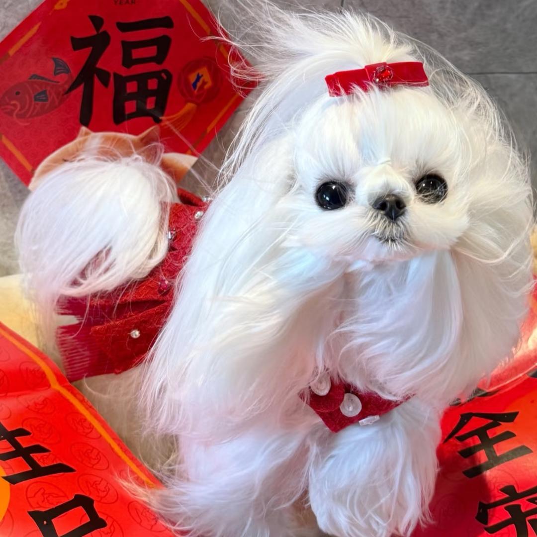 姐姐🐰