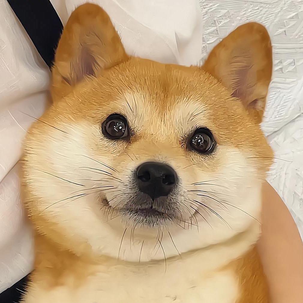 爱意随风起i