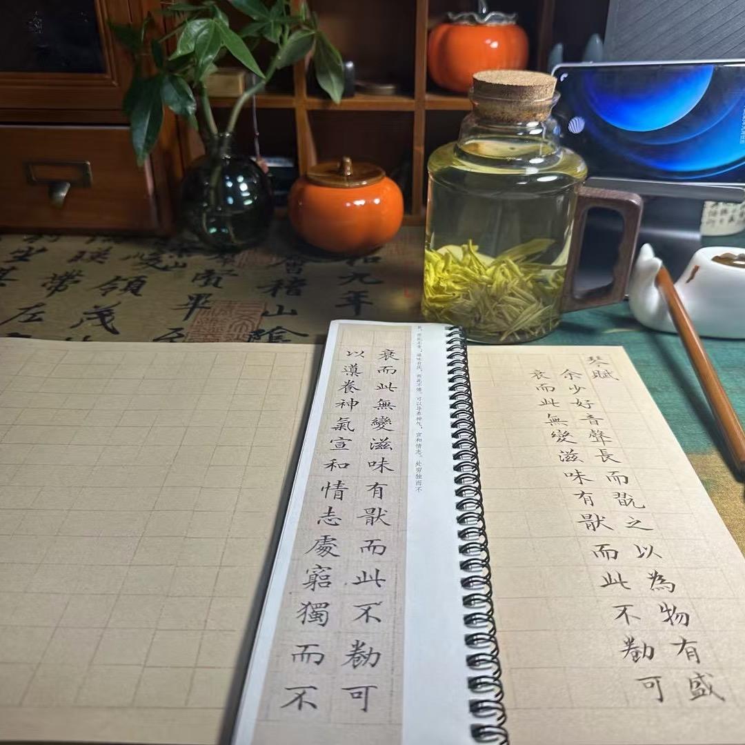 一介书女