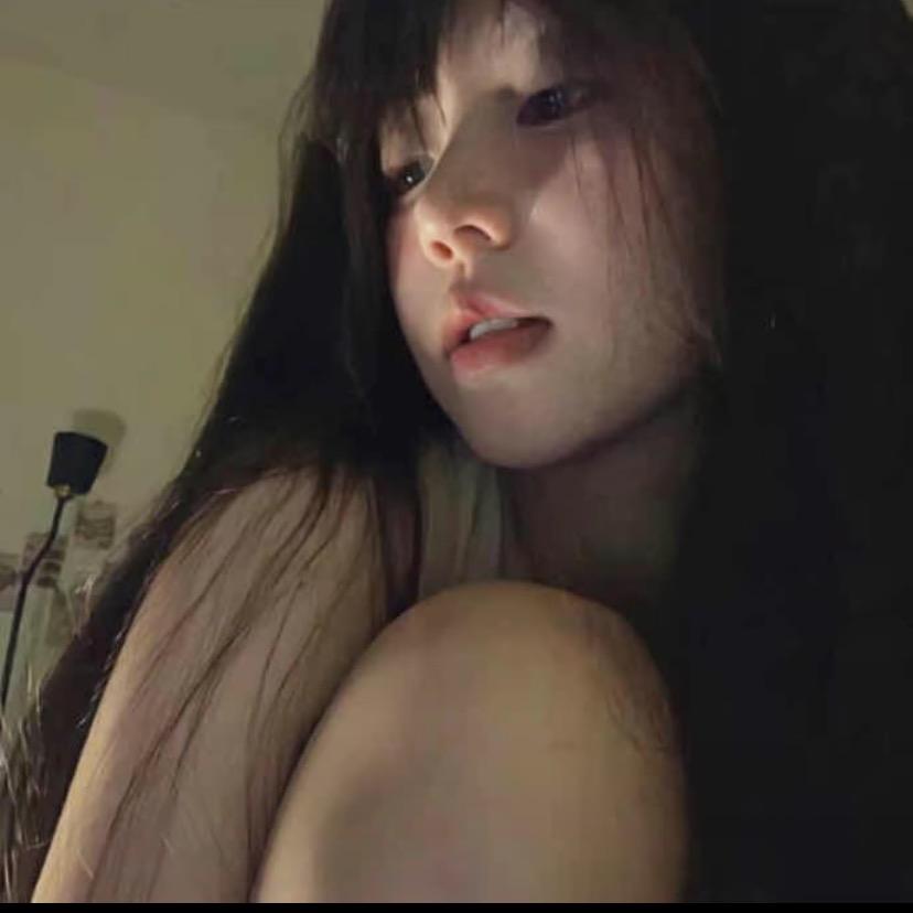 不想流浪的小猫