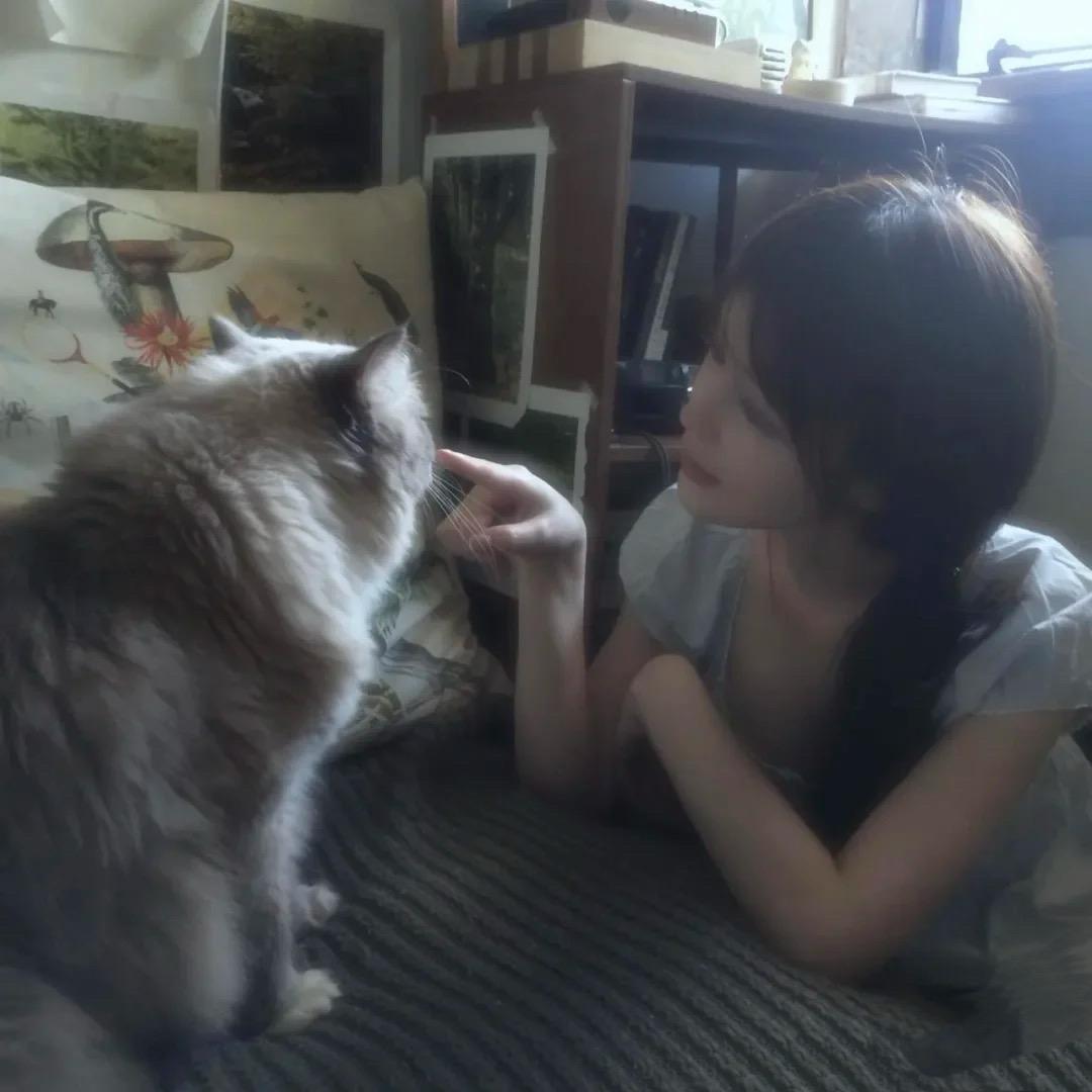 猫🐈