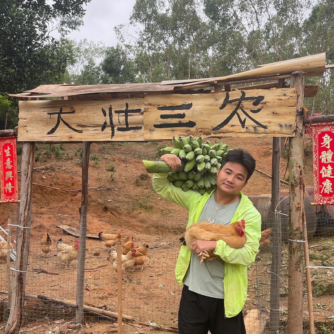 大壮(农产品溯源)