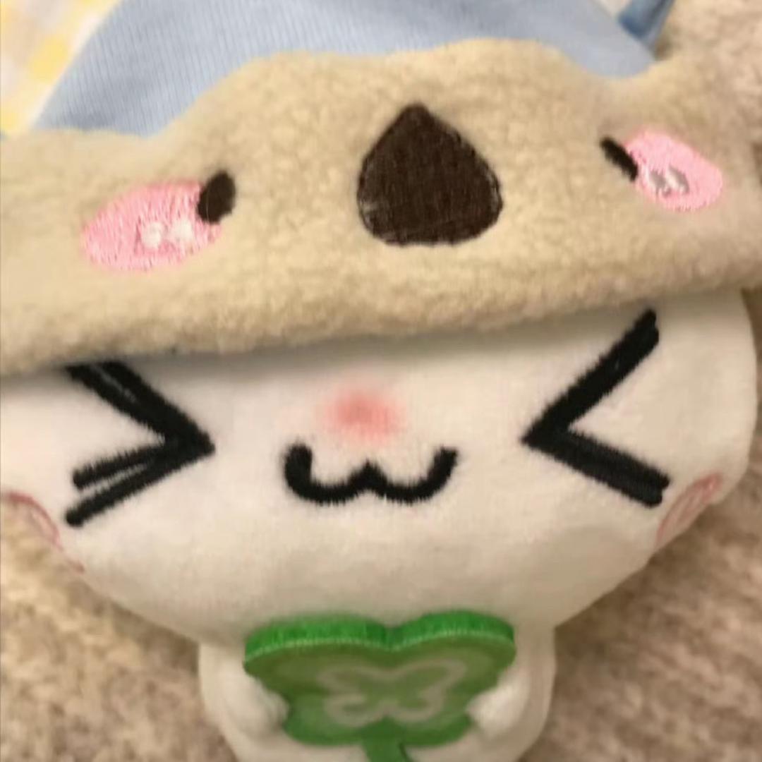 我讨厌吃哈密瓜