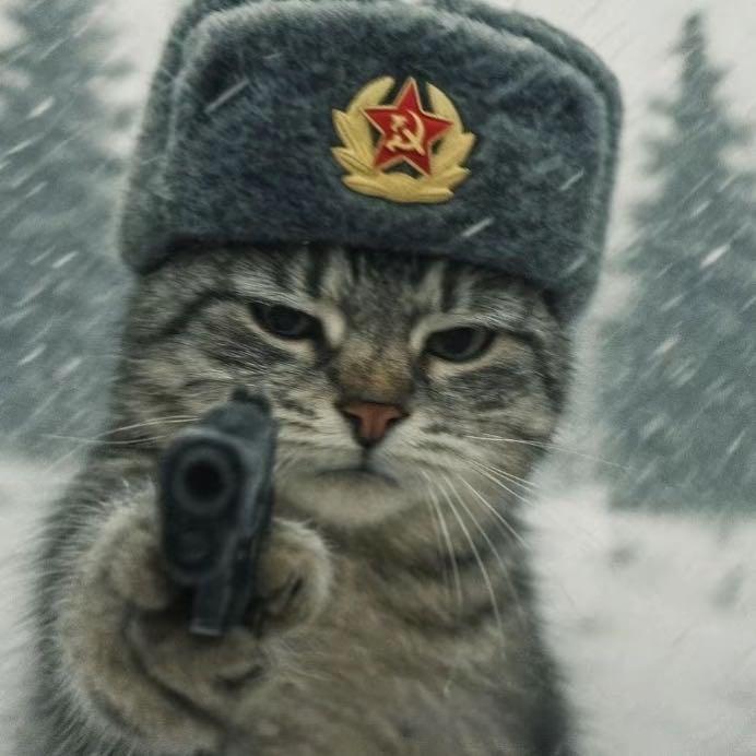 鱼
