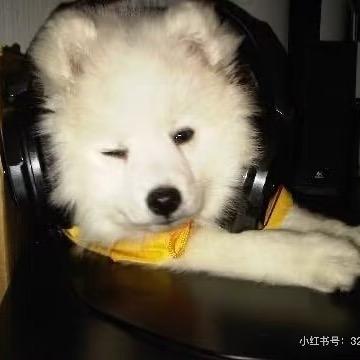 她山垂怜