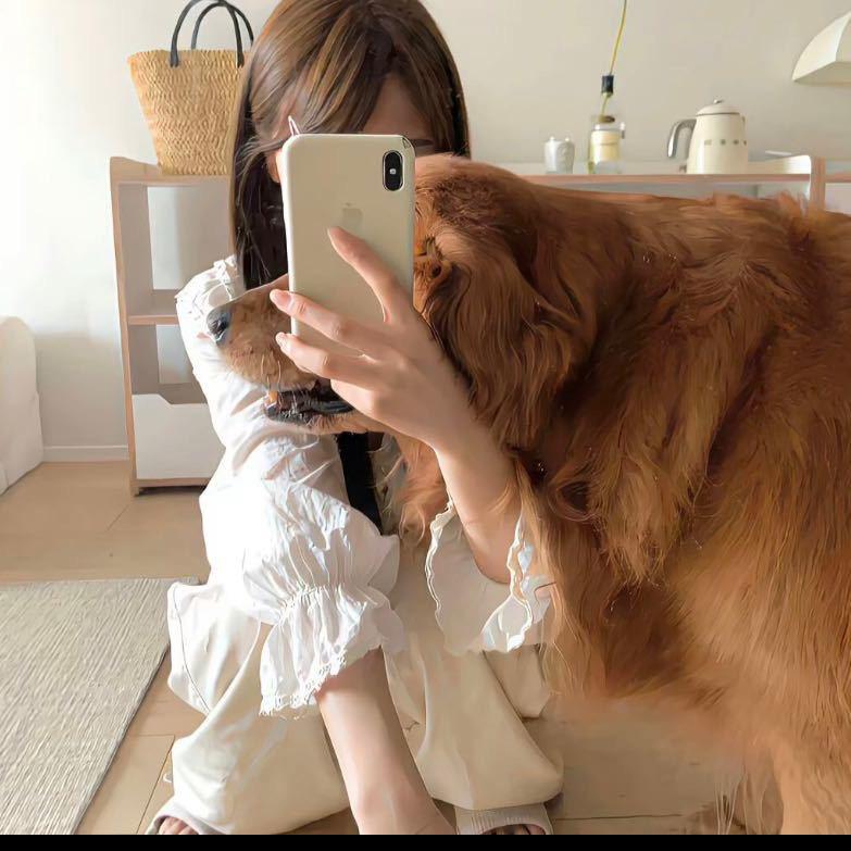凡不烦🙈