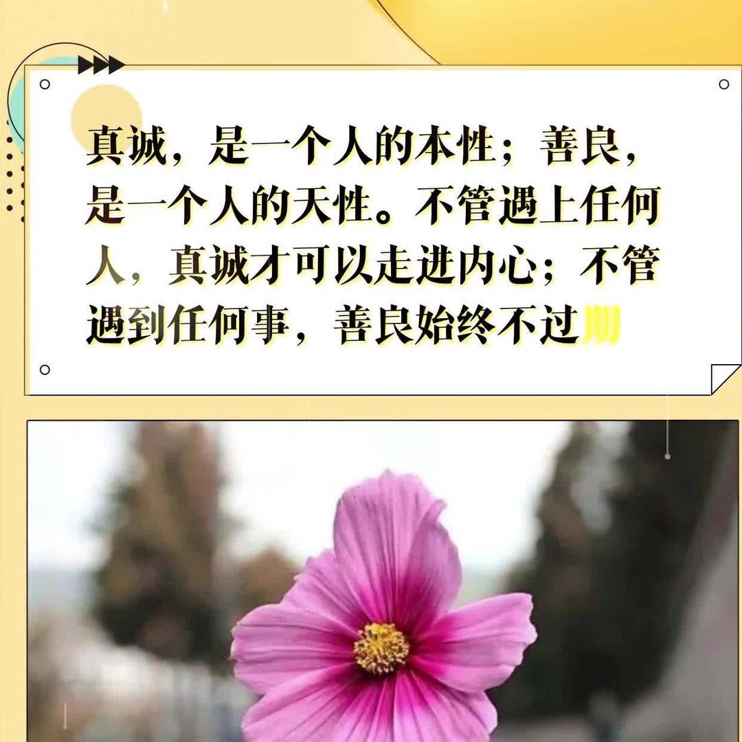 阳阳加油吖