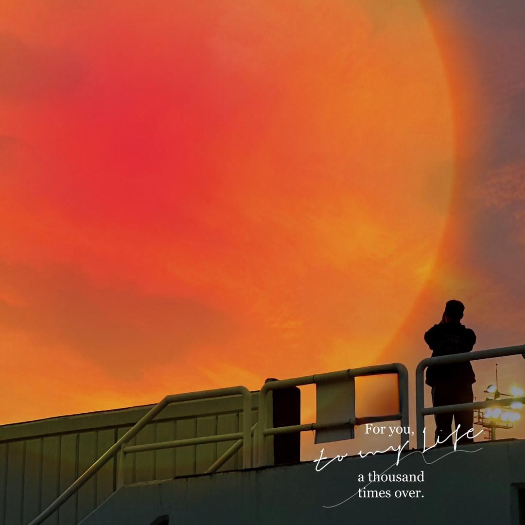 小张在柬埔寨🇰🇭