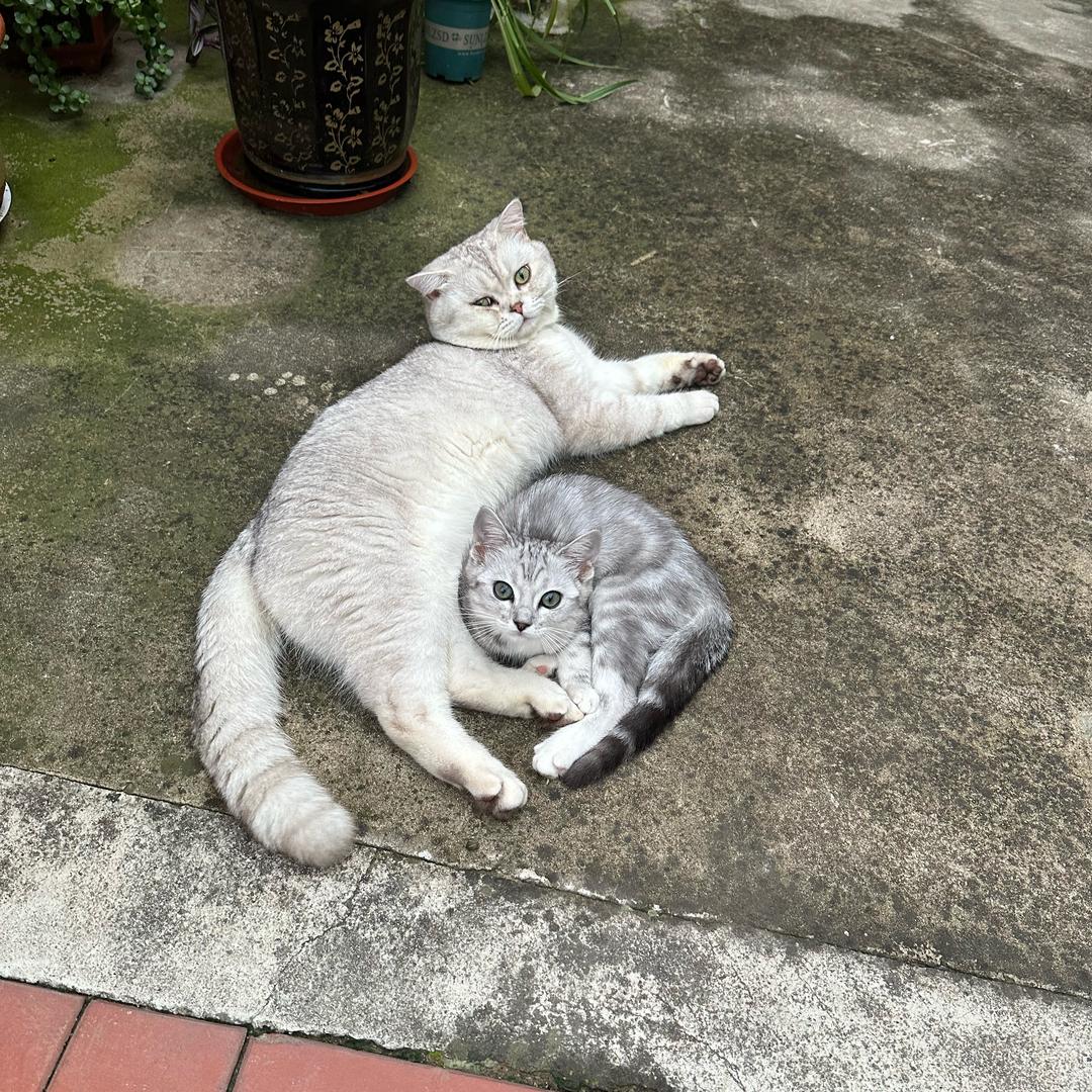 白月光🧘🏻‍♀️