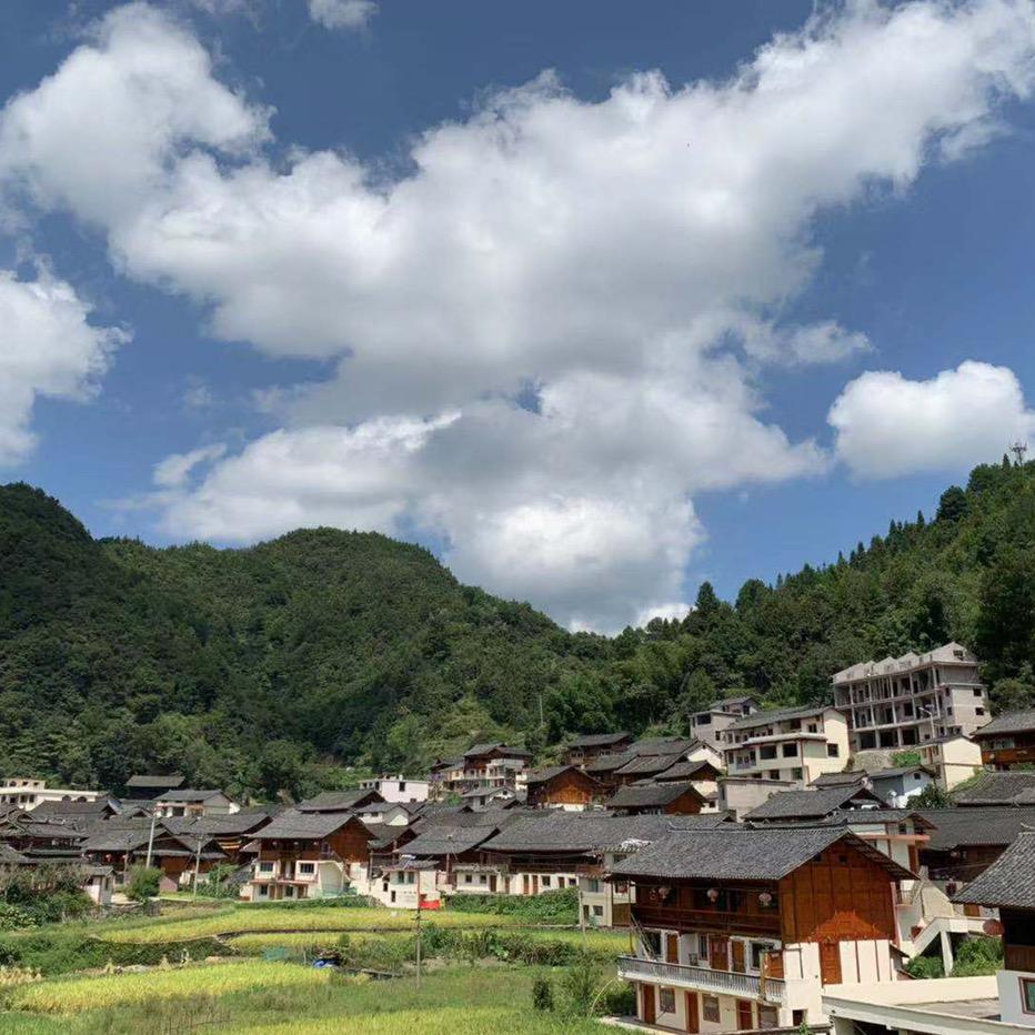 小杨柴油发动机