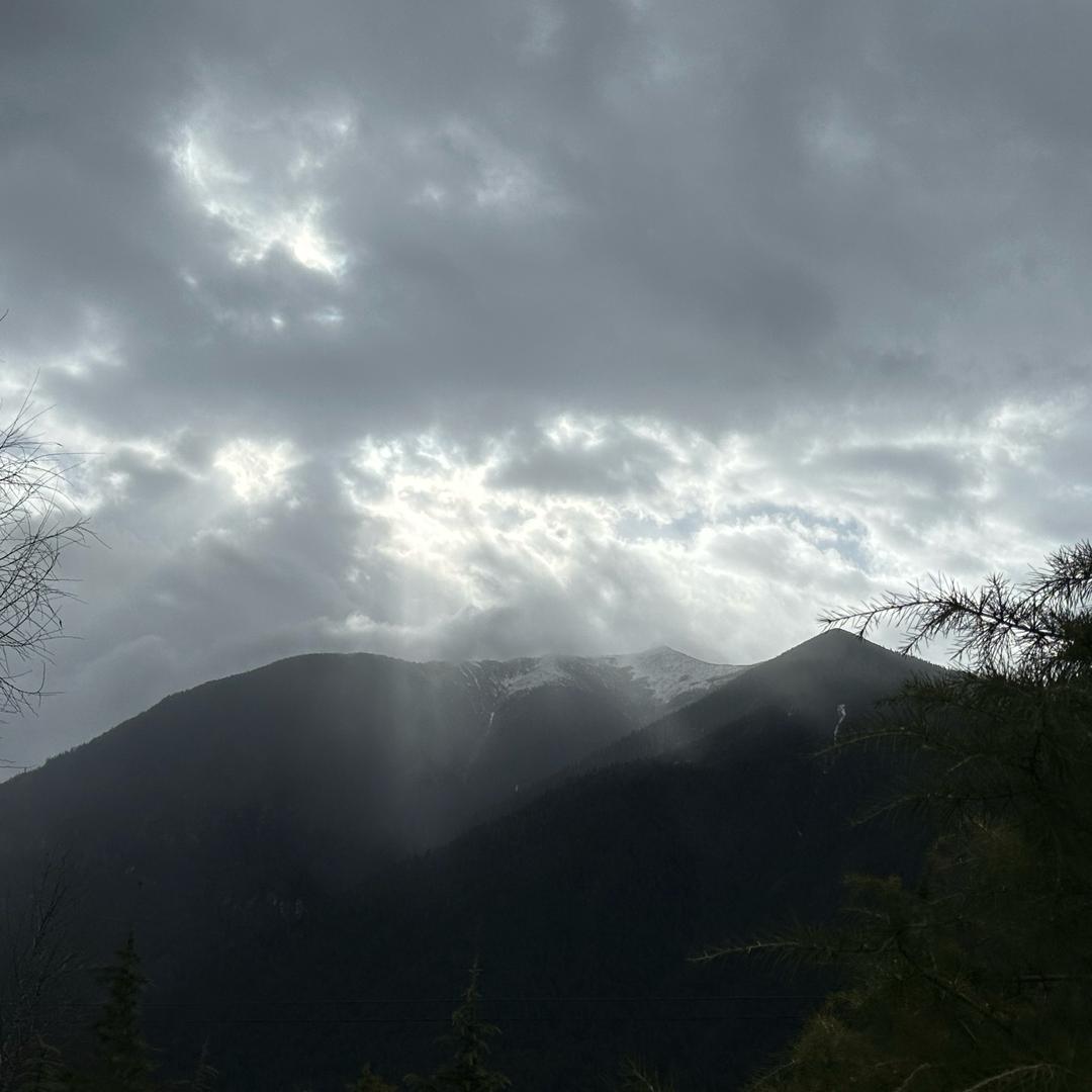 大山深处杂货铺