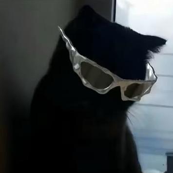 点背不能赖社会