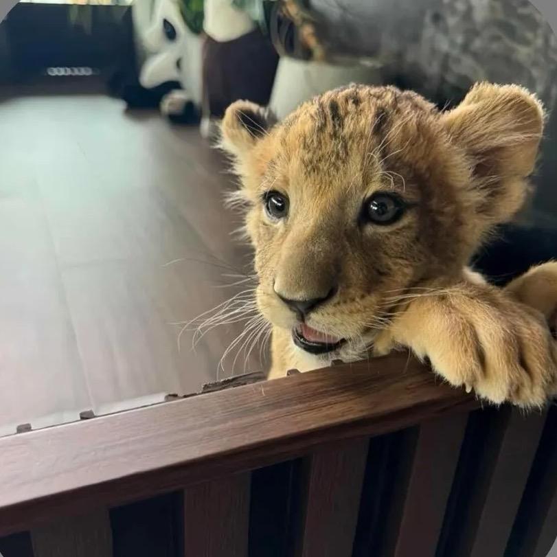 如果爱比泪水多