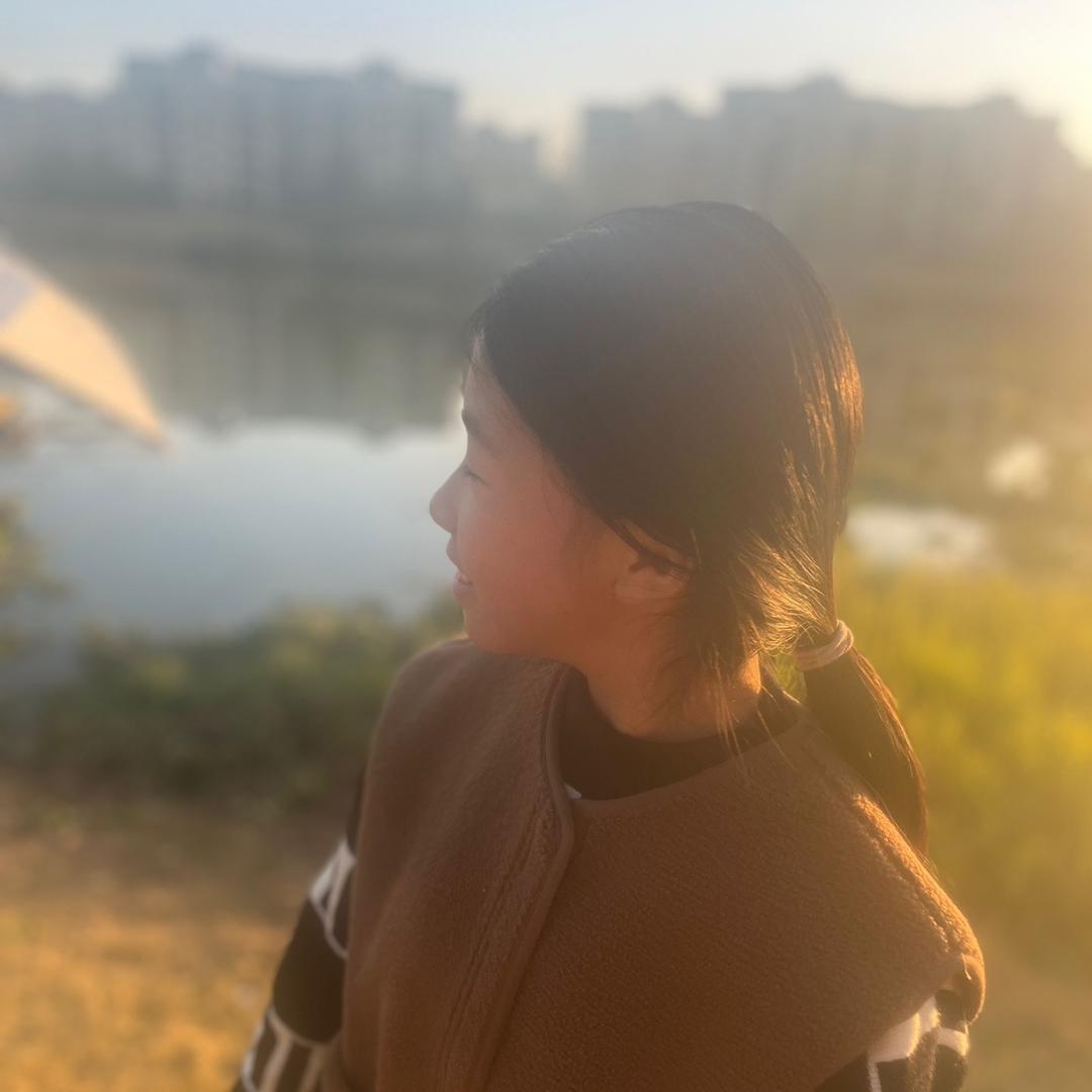 逆流而上的鱼