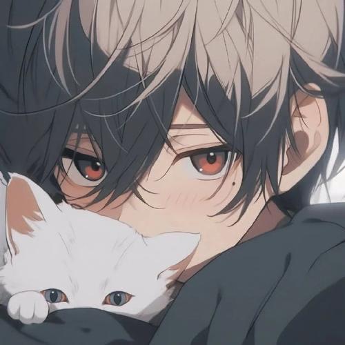 王者荣耀小贺（国服野射）