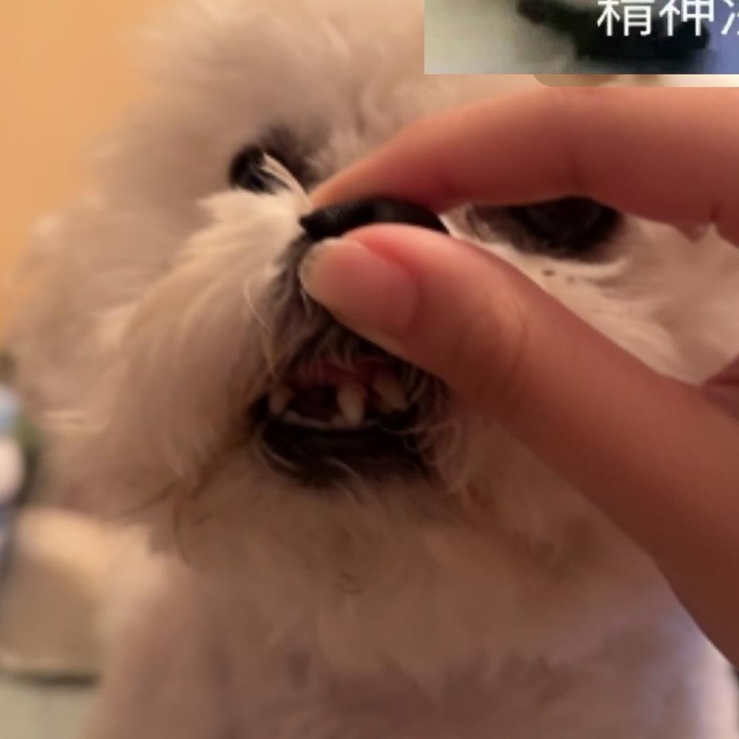 馒头王
