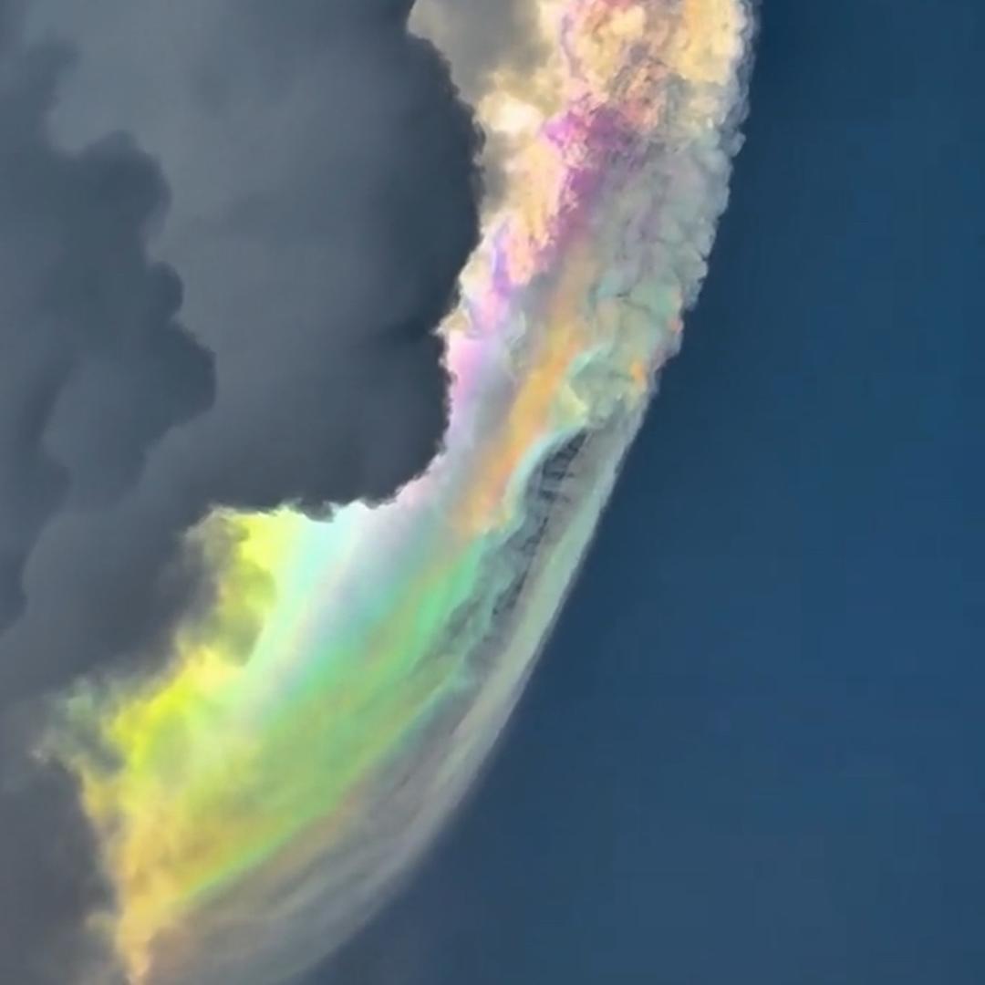 粥粥不怕咸🦋🦋🦋🦋🦋