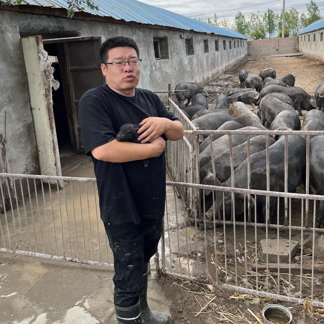 瑶瑶农家笨猪（新疆）