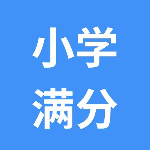 小学满分资料