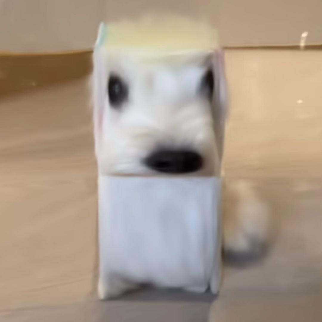 若水