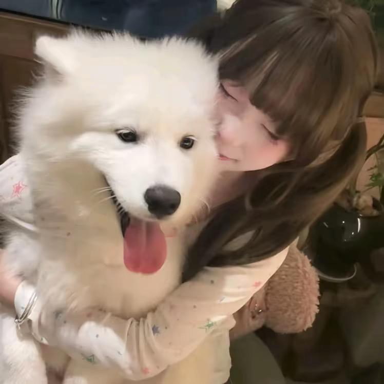 ㅤㅤ   ㅤㅤ   ㅤ