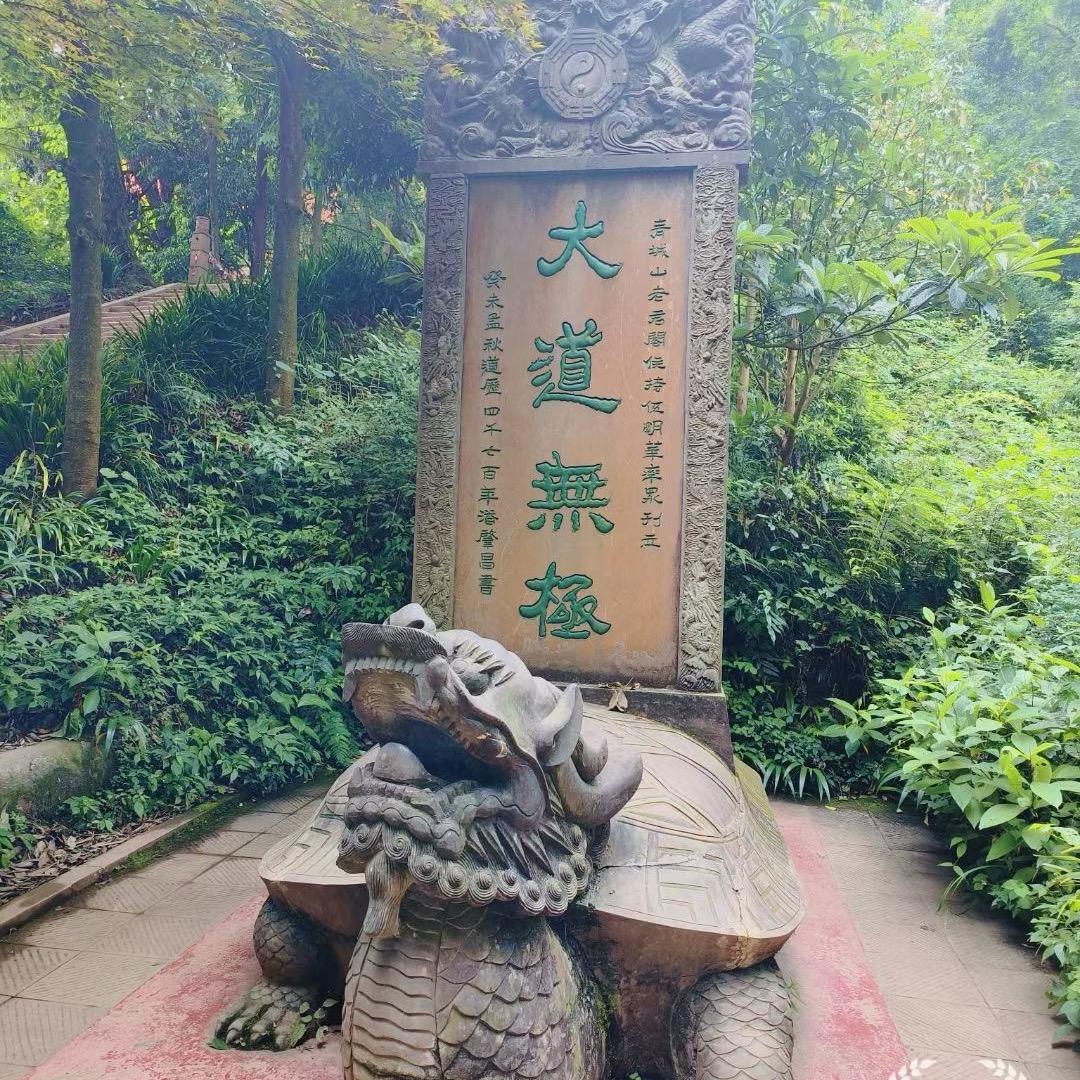 青辰道友【可咨询】