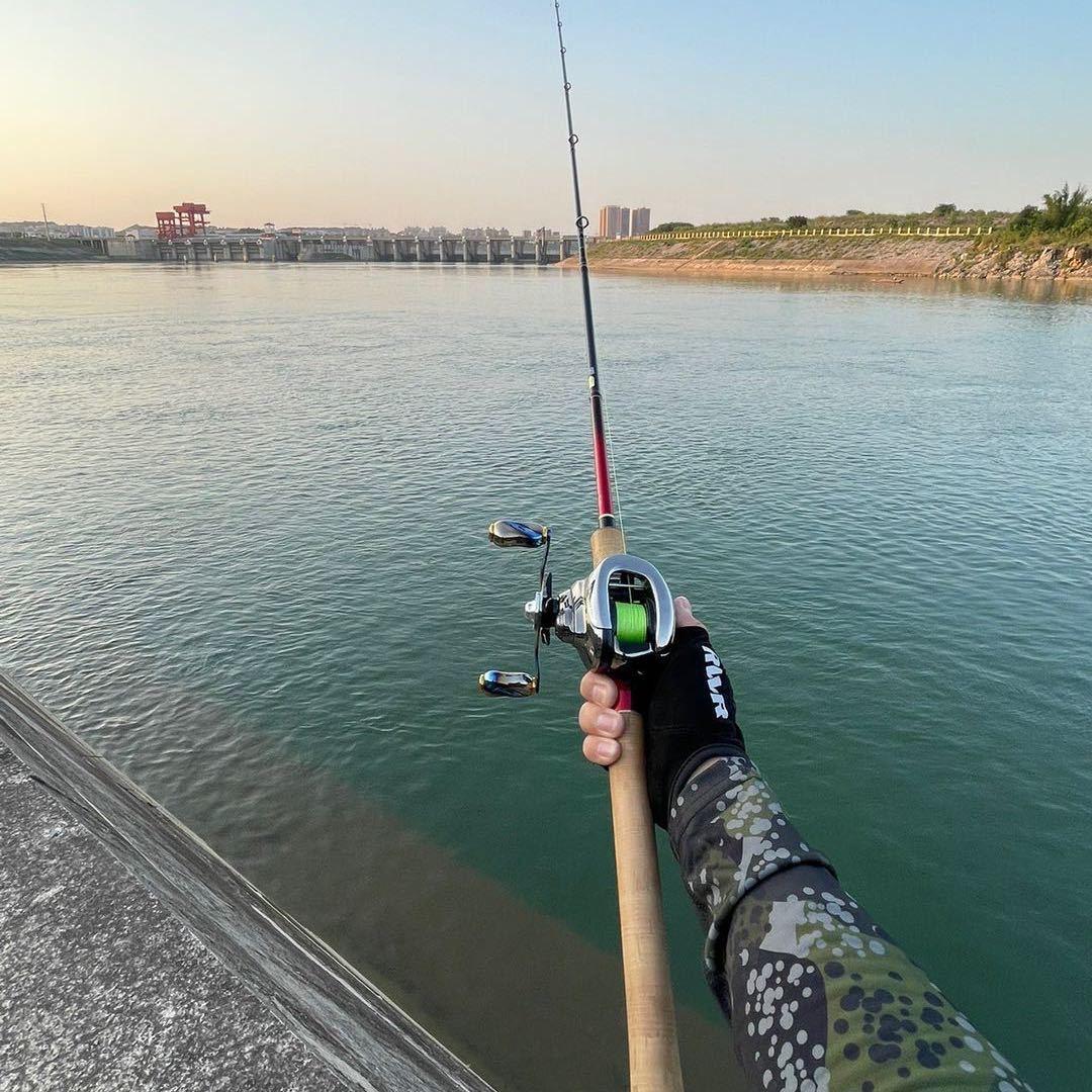 大河向东刘先生