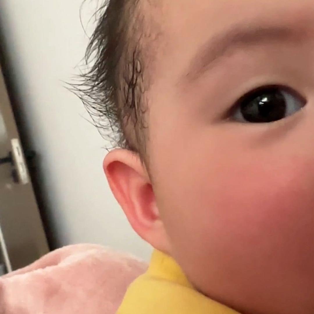 小布丁的爹地😈