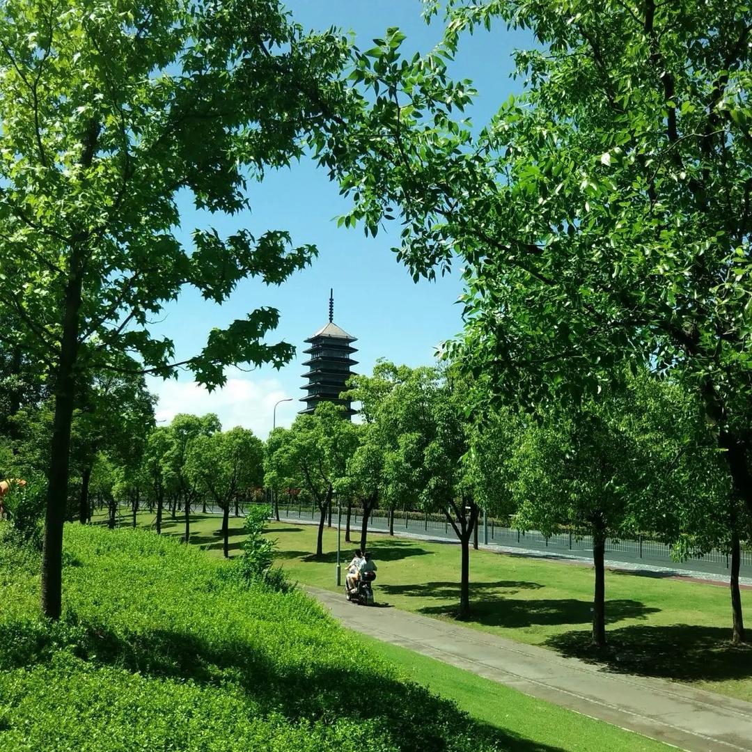 青泉（复合）