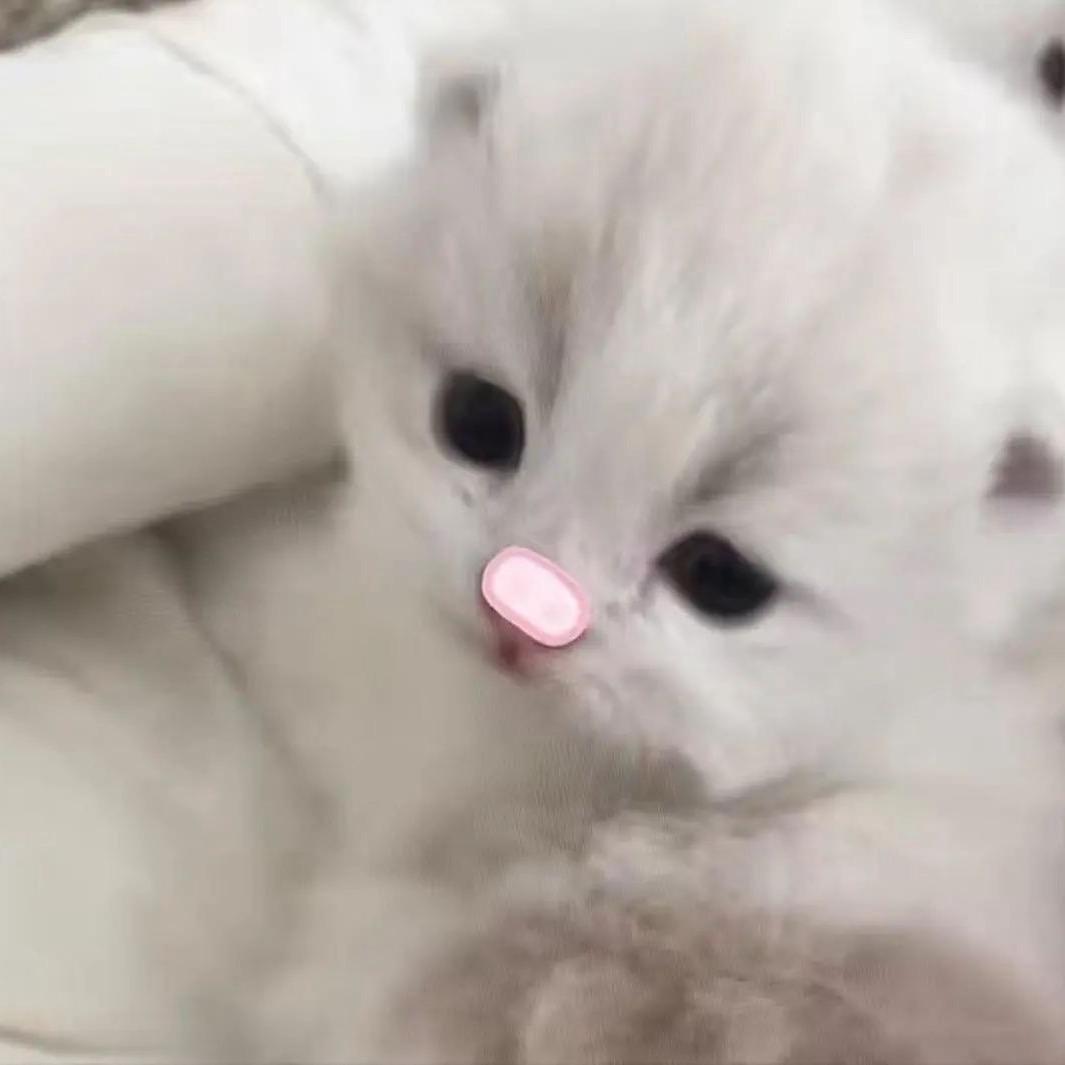 持青