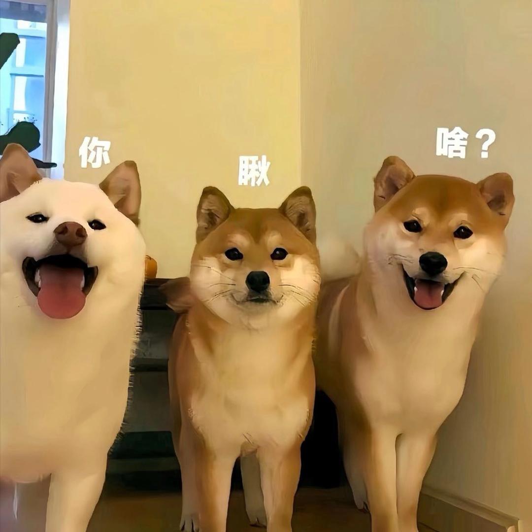 老婆站街我数钱