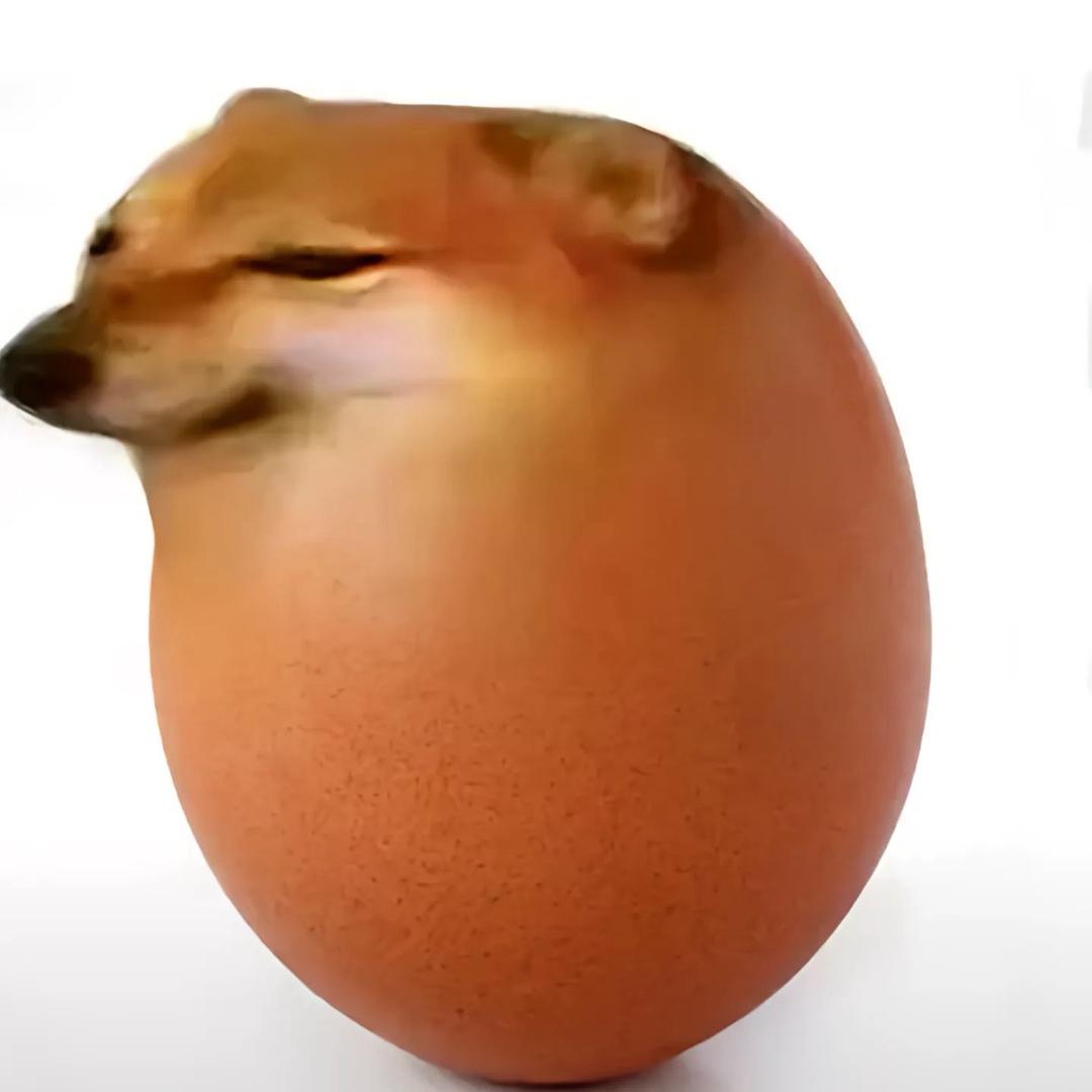 热狗