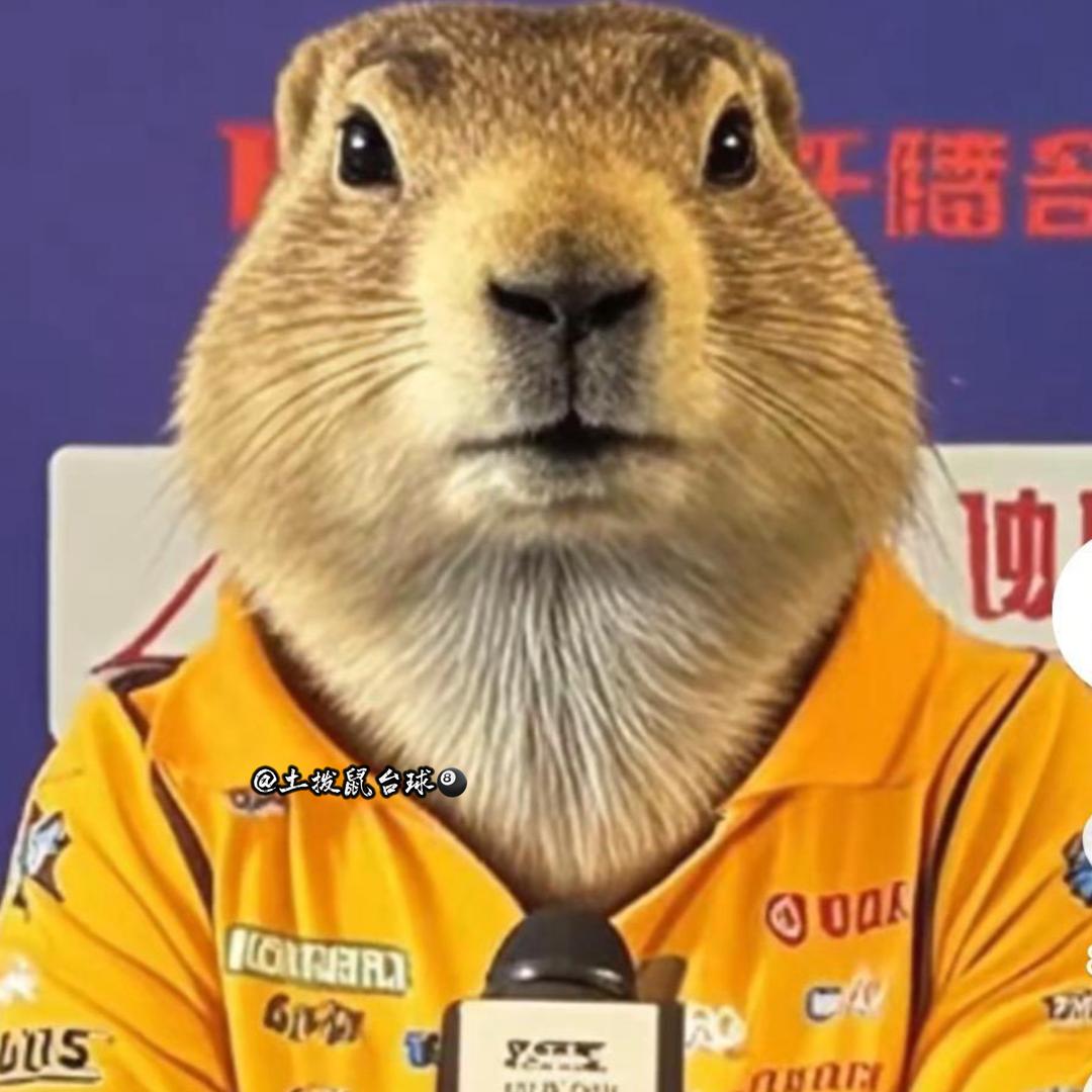 土拨鼠台球🎱