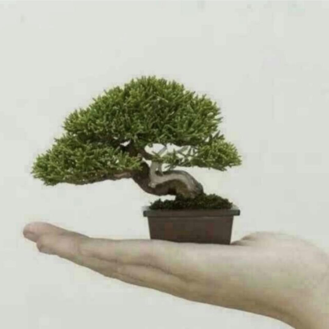 喜车帮小薛二手车